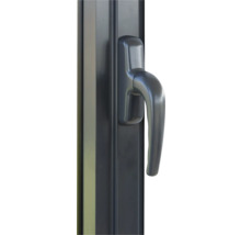 Ferrure de fenêtre avec poignée