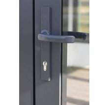 Gros plan d'une porte grise avec poignée de porte et serrure Yale