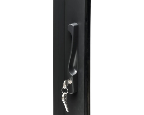 Porte d'entrée avec poignée et clés
