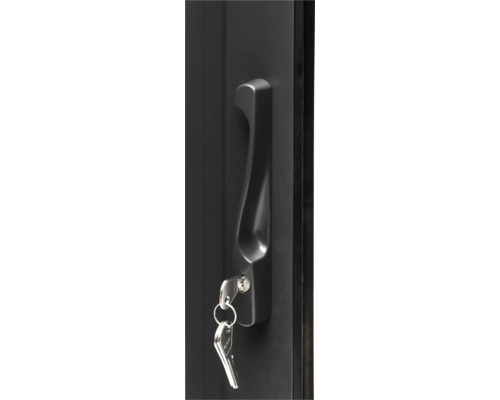 Poignée de porte noire avec clés