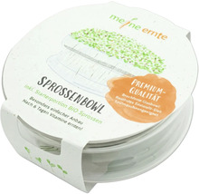 Bol à germes avec portion de démarrage de graines germées bio pour une culture facile