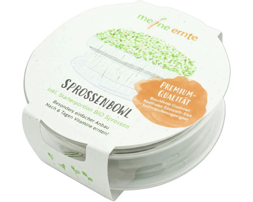 Bol à germes avec portion de démarrage de graines germées bio pour une culture facile