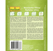 Saatgutpackung Riesenbutter/Vitessa Raphanus sativus
