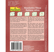 Ruban de graines de radis de la variété Riesenbutter/Vitessa Raphanus sativus