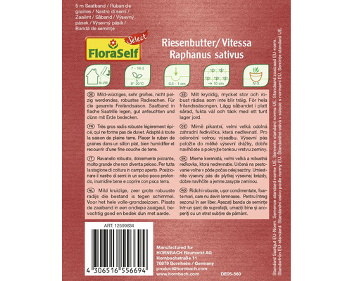 Ruban de graines de radis de la variété Riesenbutter/Vitessa Raphanus sativus