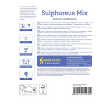 Informations sur l'emballage des graines de fleurs Cosmos soufré