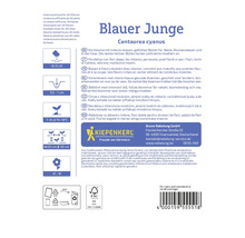 Informations sur le bleuet 'Blauer Junge' avec des conseils de culture et d'entretien