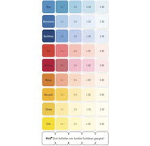 Nuancier avec différentes teintes et proportions de mélange