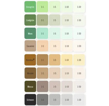 Nuancier présentant différentes teintes de vert, de brun et de gris dans différents rapports de mélange