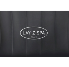 Logo Lay-Z-Spa Miami