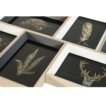 Cadre multiple avec illustrations de feuille, plume et cerf