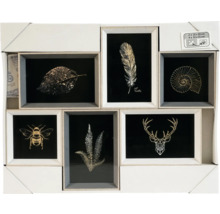 Cadre photo multiple avec des illustrations de feuille, plume, coquille d'escargot, abeille, fougère et cerf