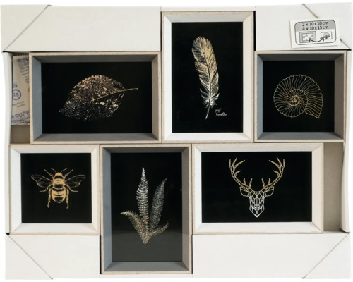 Cadre photo multiple avec des illustrations de feuille, plume, coquille d'escargot, abeille, fougère et cerf