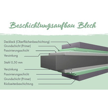 Structure de couche de tôle avec laque de finition, couche de fond, couche de passivation, galvanisation, acier de 0,50 mm et revêtement arrière