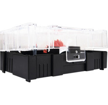 Lebendfalle für Mäuse mit transparentem Deckel