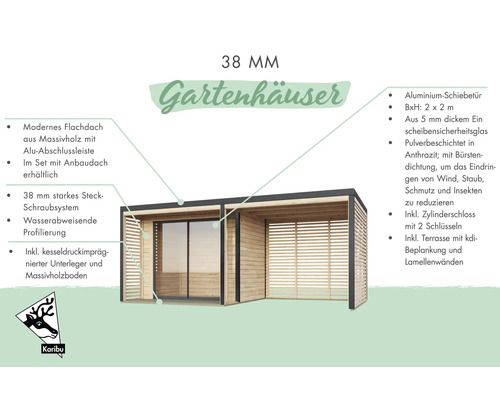 Abri de jardin avec toit plat, porte coulissante, terrasse et parois à lamelles