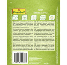 Graines de carotte Rotin Daucus carota