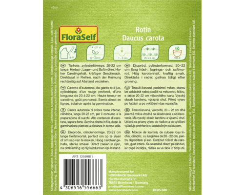Graines de carotte Rotin Daucus carota