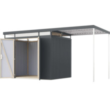 Abri de jardin avec annexe et porte ouverte