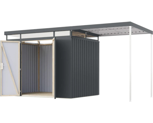 Abri de jardin avec annexe et porte ouverte