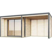 Abri de jardin moderne avec porte coulissante et paroi à lames de bois