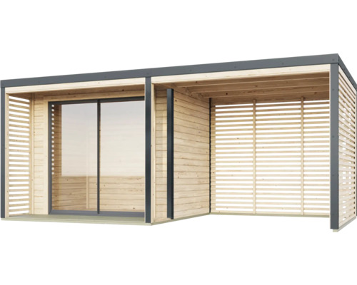 Abri de jardin moderne avec porte coulissante et paroi à lames de bois