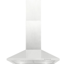 Hotte de cuisine en acier inoxydable