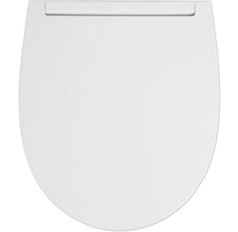 Toilettendeckel aus Kunststoff