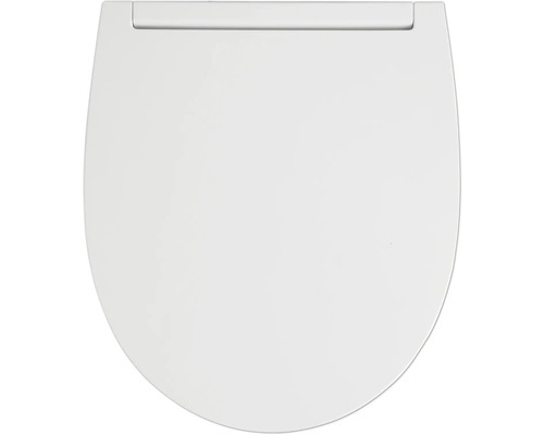 Toilettendeckel aus Kunststoff