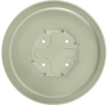 Soucoupe pour pot de fleurs