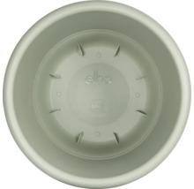 Vue intérieure d'une soucoupe de pot de fleurs ronde et verte de la marque Elho