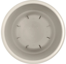 Soucoupe de pot de fleurs en plastique