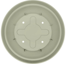 Soucoupe pour plantes en plastique, vue de dessus