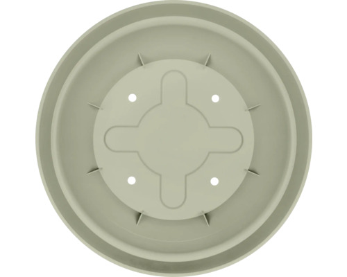 Soucoupe pour plantes en plastique, vue de dessus