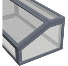 Châssis de jardin avec plaques alvéolaires et cadre en aluminium