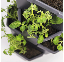 Tour de plantation avec des plantes en croissance en pots