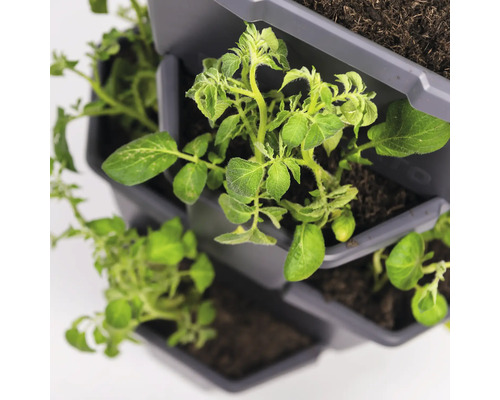 Tour de plantation avec des plantes en croissance en pots