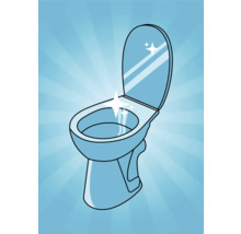 Illustration einer sauberen Toilette mit offenem Deckel