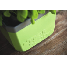 Pot à herbes avec l'inscription Herbs Buddy.