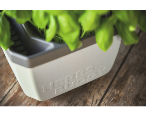 Pot à herbes avec l'inscription Herbs Buddy et herbes aromatiques