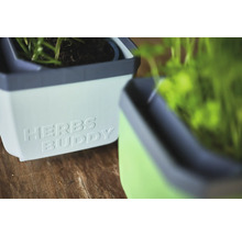 Deux pots à herbes avec l'inscription Herbs Buddy.