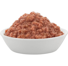 Nourriture humide pour chiens dans un bol blanc