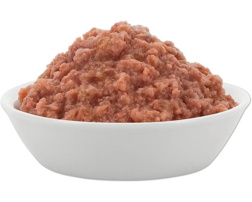 Nourriture humide pour chiens dans un bol blanc