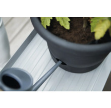 Arrosoir remplissant un pot de fleurs sur un banc à fleurs.