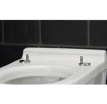 Detailansicht einer weißen Toilette mit Chrombefestigungen