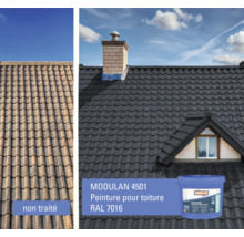 Vue avant-après d'un toit peint avec la peinture pour toiture Modulan 4501 RAL 7016