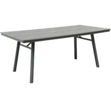 Table de jardin avec plateau et piètement
