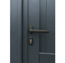 Tür mit Türgriff und Schloss