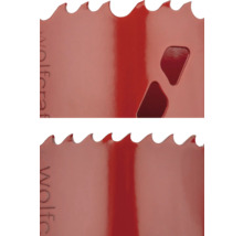 Vue détaillée de la lame de scie trépan Wolfcraft