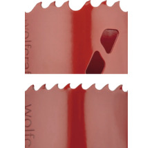 Vue détaillée d'une scie cloche avec dents et découpes.